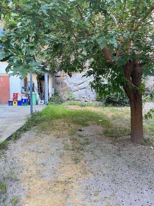 Appt 4 Pers Avec Jardin Ombrage En Centre Ville De Sète Exterior foto
